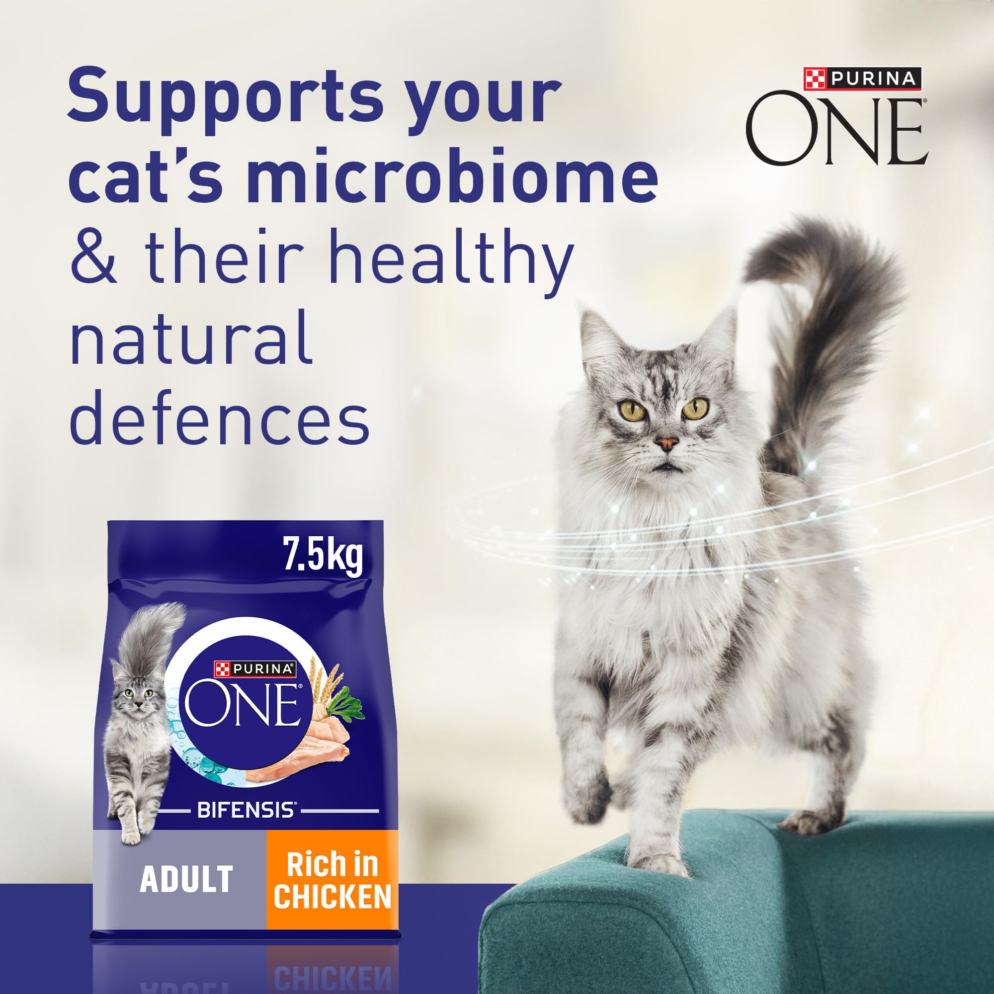 PURINA ONE Bifensis Adult Dry Cat Food Chicken 7.5kg Pack - 2