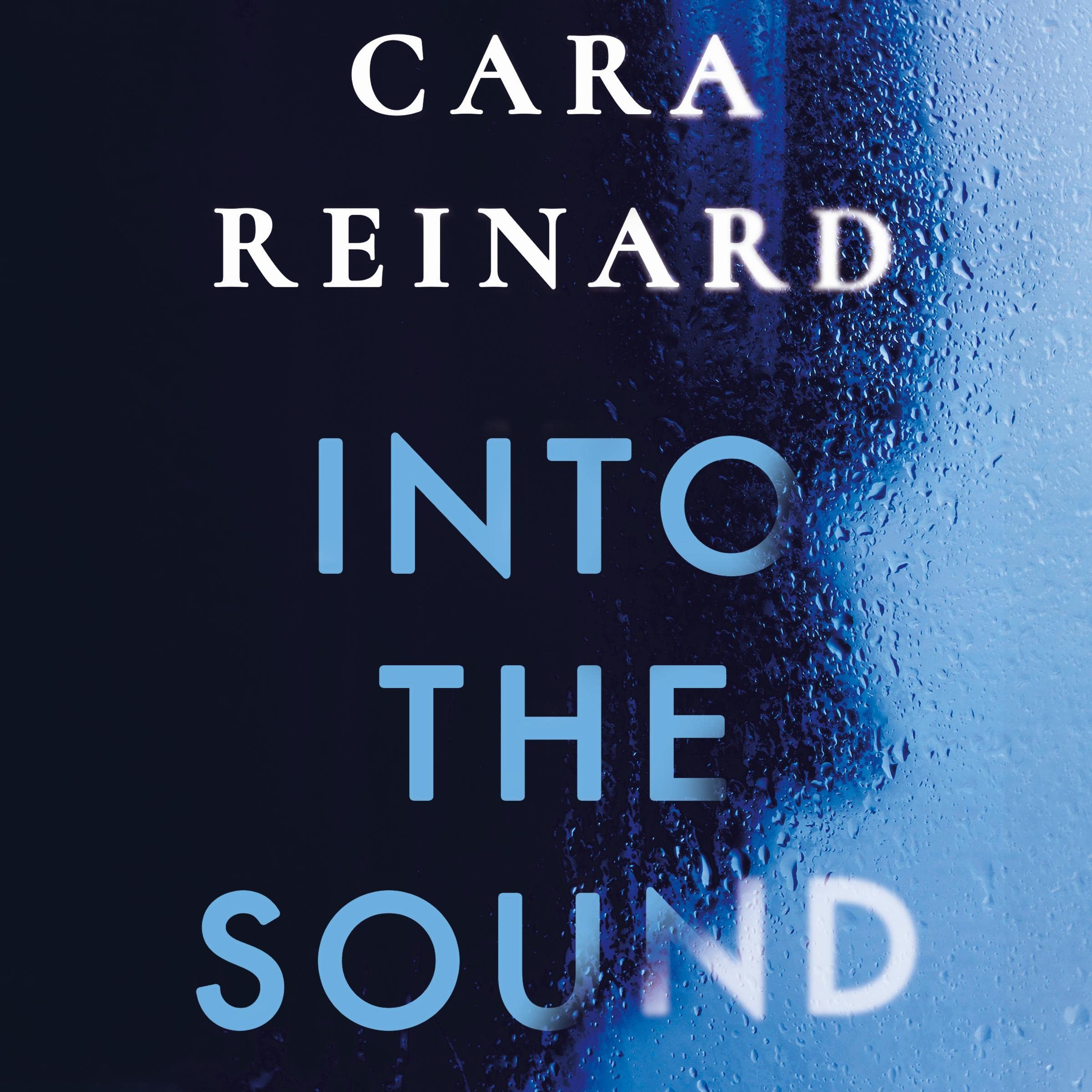 Cover art for Into the Sound