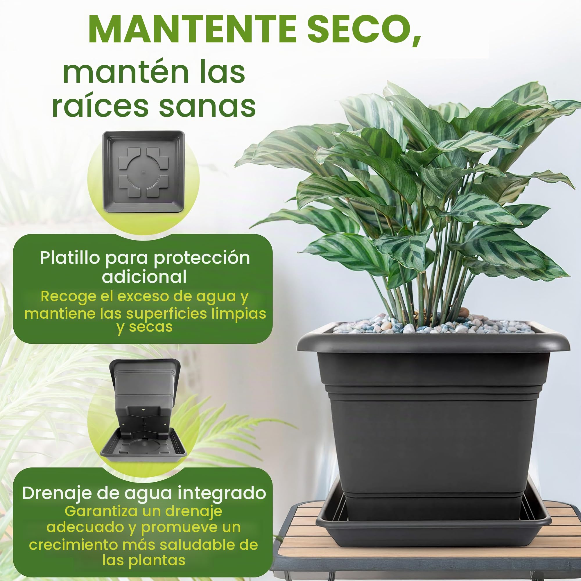 2friends Macetero grande antracita XXL, juego de 2 unidades para exterior, resistente y moderno para jardín y terraza
