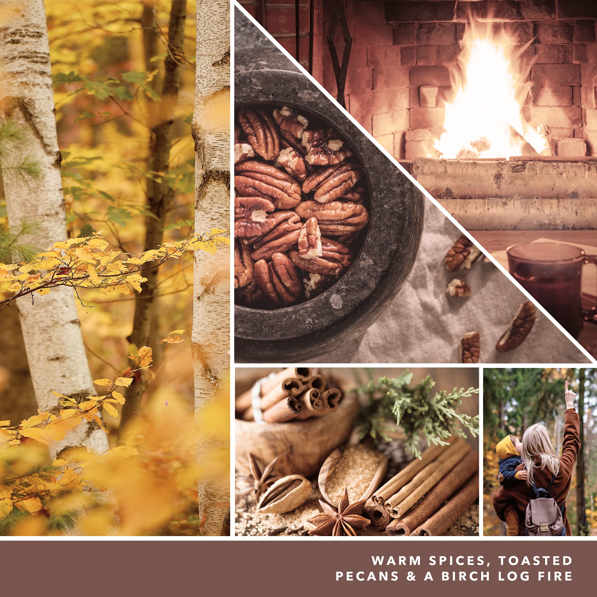 Yankee Candle Praline & Birch Signature Duftkerze im Glas, groß