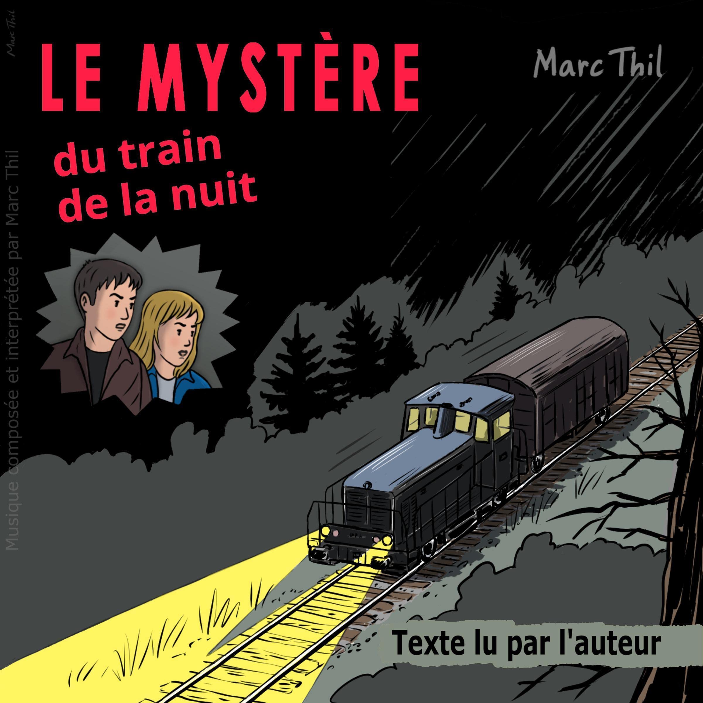 Le Mystère du train de la nuit