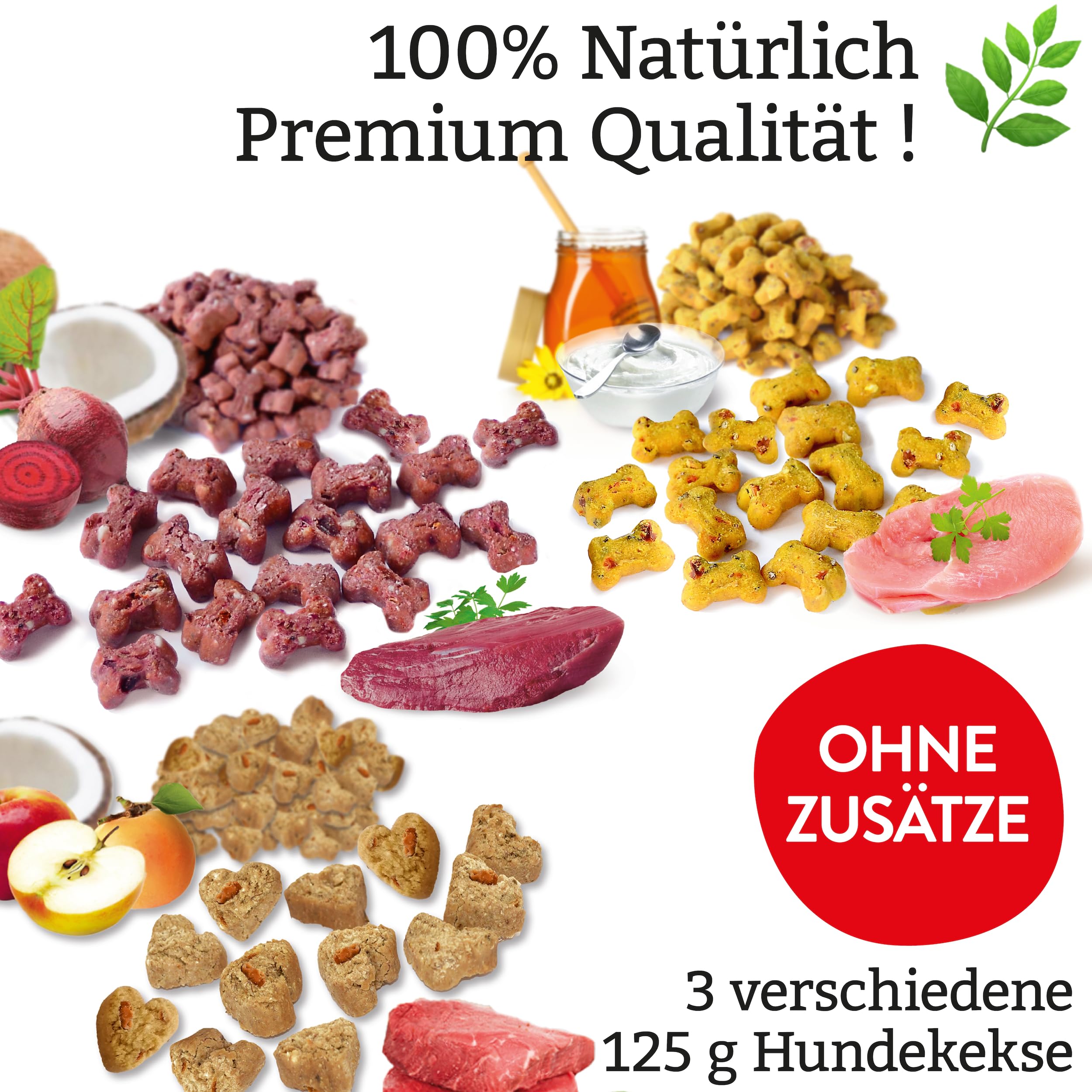 Premium Entdecker Snack-Set für Hunde 5-teilig | Getreidefrei, Proteinreich | Mix aus Wildfleisch, Rind, Lamm & Pute | Trockensnacks & Hundekekse