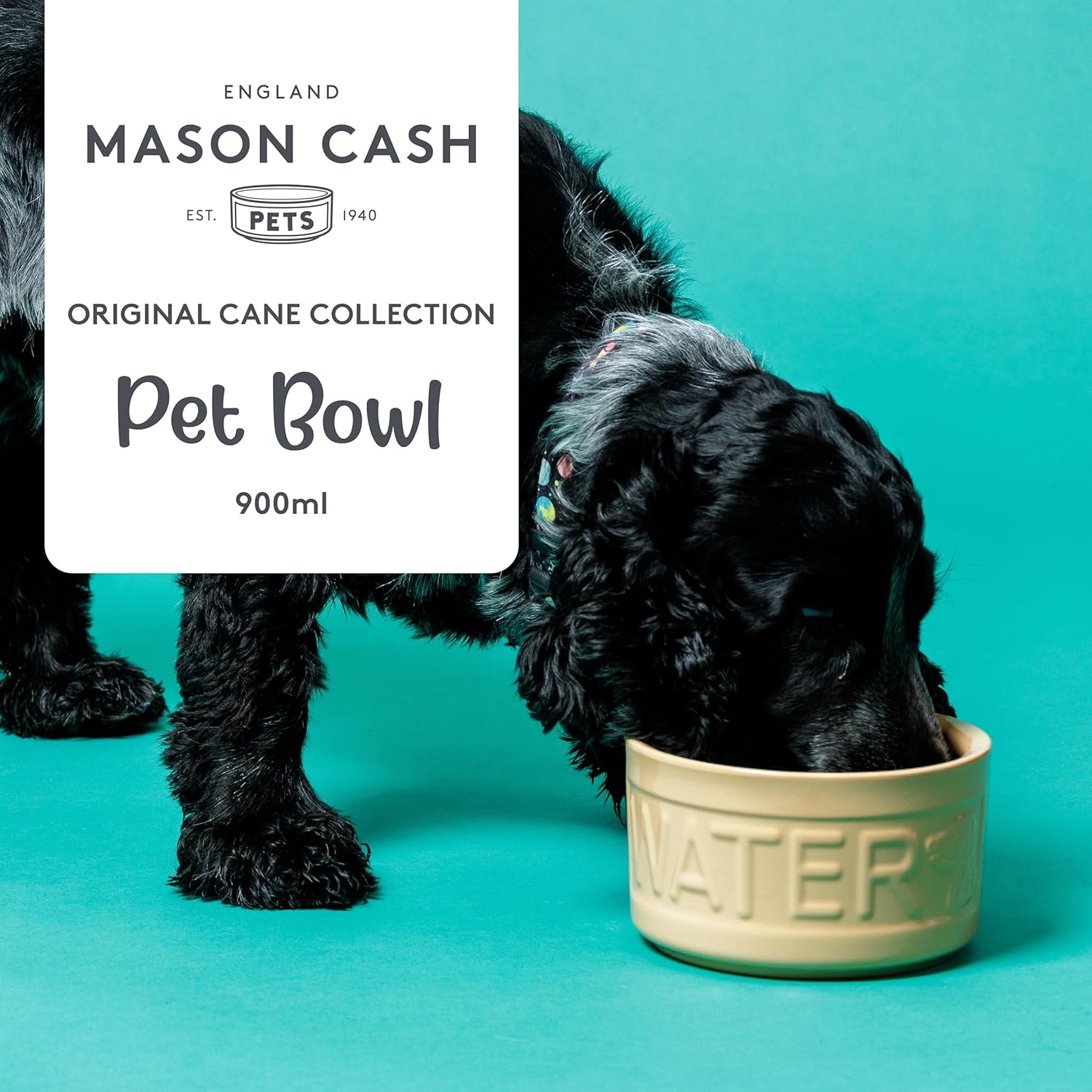 Mason Cash Cane Lettered Stoneware Water Bowl, 15 cm