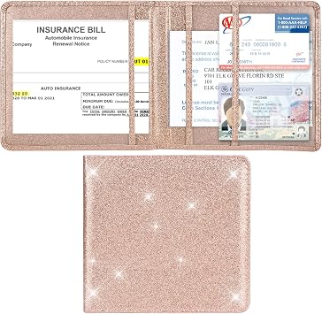 Car Registration and Insurance Holder, Glove Box Organizer, Rose Gold