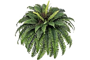 Faux Fern Outdoor: Lifelike Artificial Boston Fern Plant for a Lush Greenery All Year Round