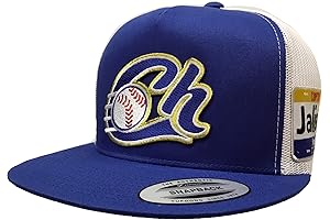 Charros de Jalisco New Logo 2 Logos