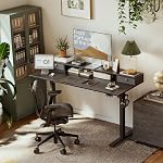 Agilestic 48 x 24 Inches Electric Standing Desk with 2 Storage Drawers, Adjustable Height Sit and Stand Computer Table with Splice Board, Black