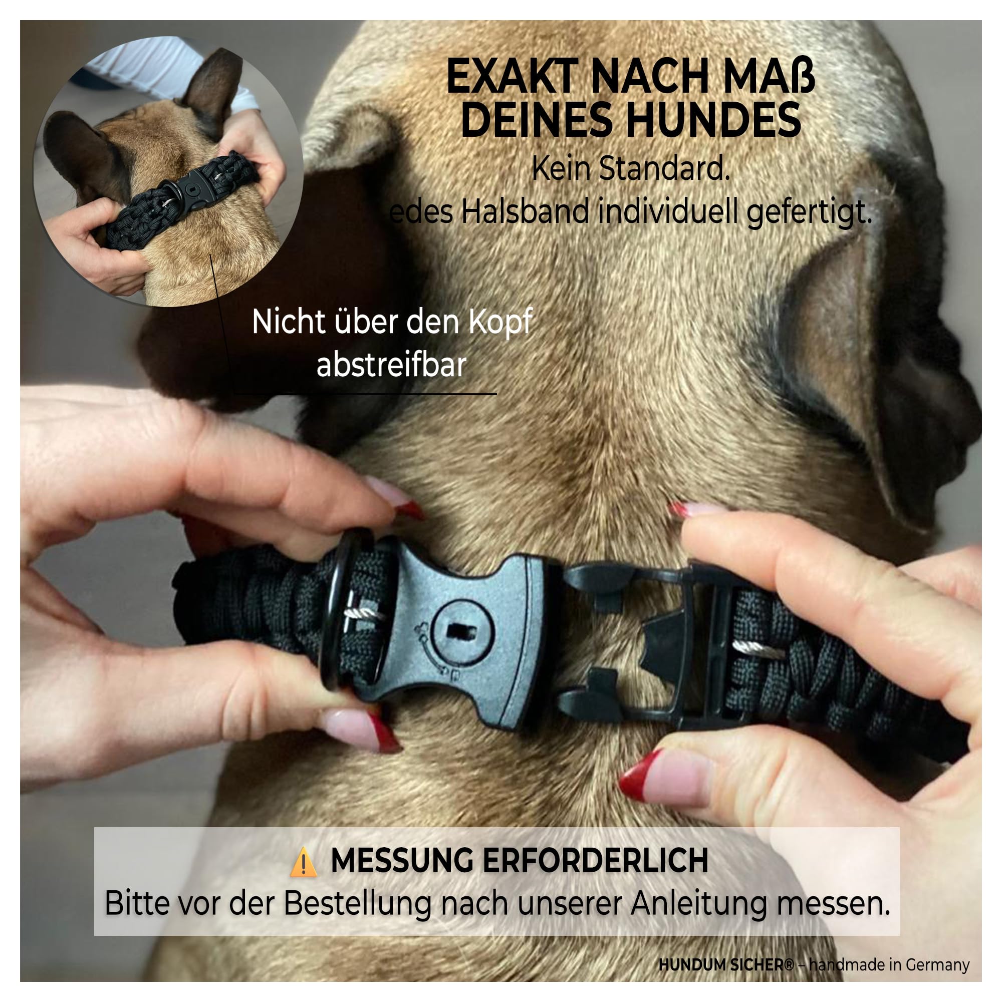 Anti-Diebstahl Hundehalsband & Leine für kleine Hunde - Abschließbar & schnittfest, Paracord Set mit Stahlseil-Kern (150cm)