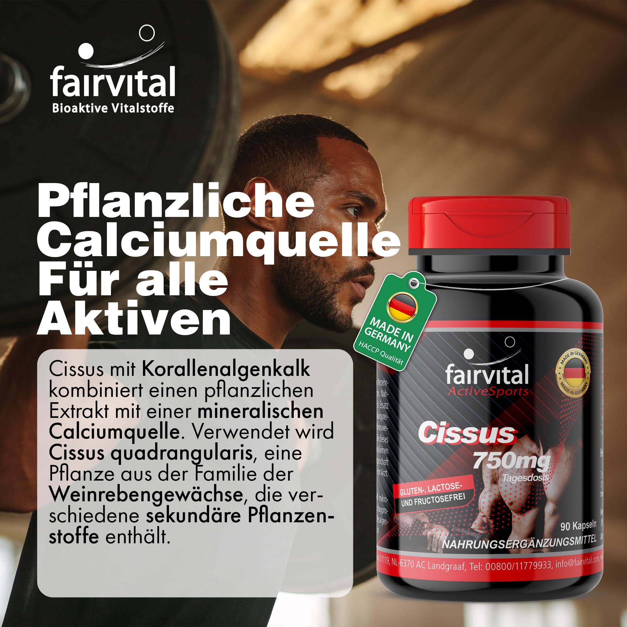 fairvital Cissus Kapseln, 90 Kapseln, 750mg pro Tag, Ketosterone + Calcium aus Rotalge, HOCHDOSIERT, VEGAN, Cissus Quadrangularis