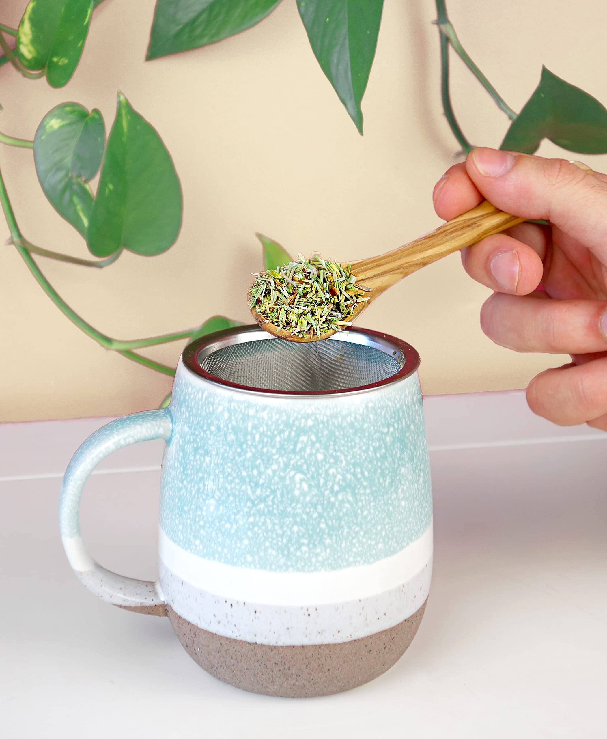 Cola de Caballo Infusión 200 gr - Té de Cola de Caballo a Granel - Propiedades Naturales - Infusiones de Hierbas
