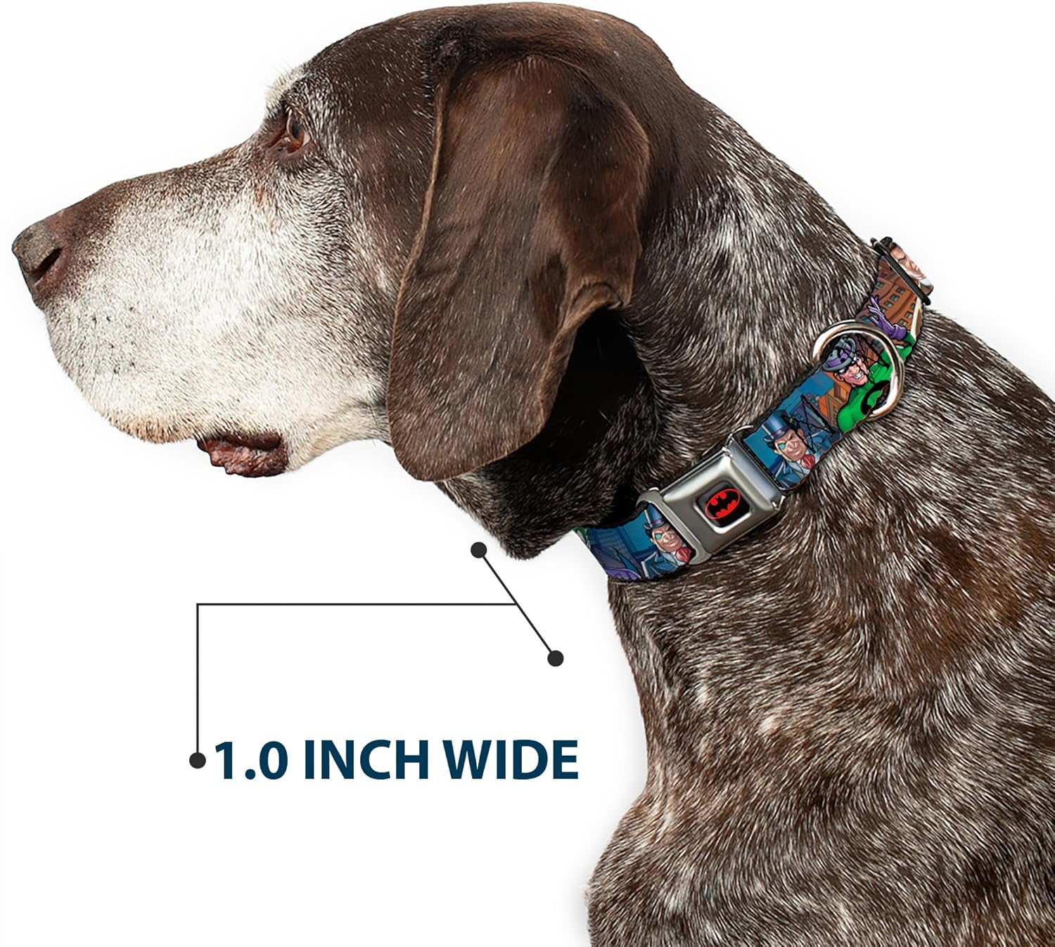 Buckle-Down Seatbelt Buckle Dog Collar - BATMAN & Villains2/Cityscape - 1" Wide - Fits 15-26" Neck - Large