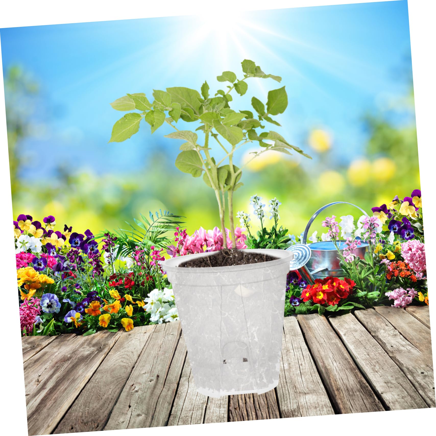 TOYANDONA 6 Pièces Pots de Fleurs Transparent Plastique Drainage pour Plantes Intérieur Pots de Jardinage Idéaux pour Plantes Vertes