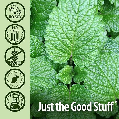 Miniatura 5 de Nature's Answer Periobrite Pasta de dientes, menta fresca, 4 onzas (paquete de 6)  Para dientes sensibles  Blanquea los dientes  Refresca el aliento