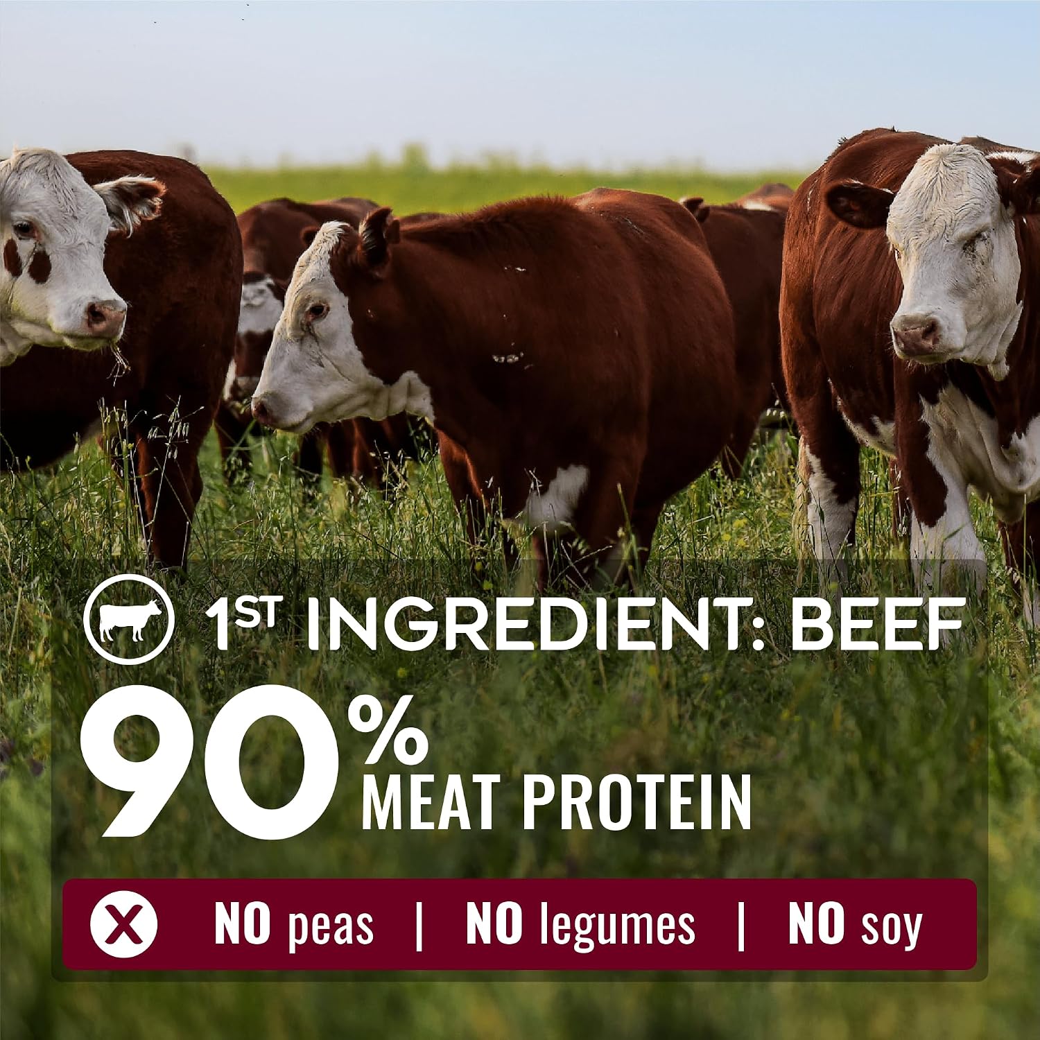NATURE'S LOGIC Pure Naturals™ 100% Natural Beef Recipe Synthetic-Free Dry Dog Food, 24 lbs