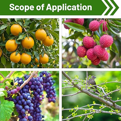 Miniatura 5 de Baoblaze Tijeras de poda de alta altitud, diseño de polea, cortadora de árbol con cuerda, cortador de poda de árboles frutales para cortar ramas,