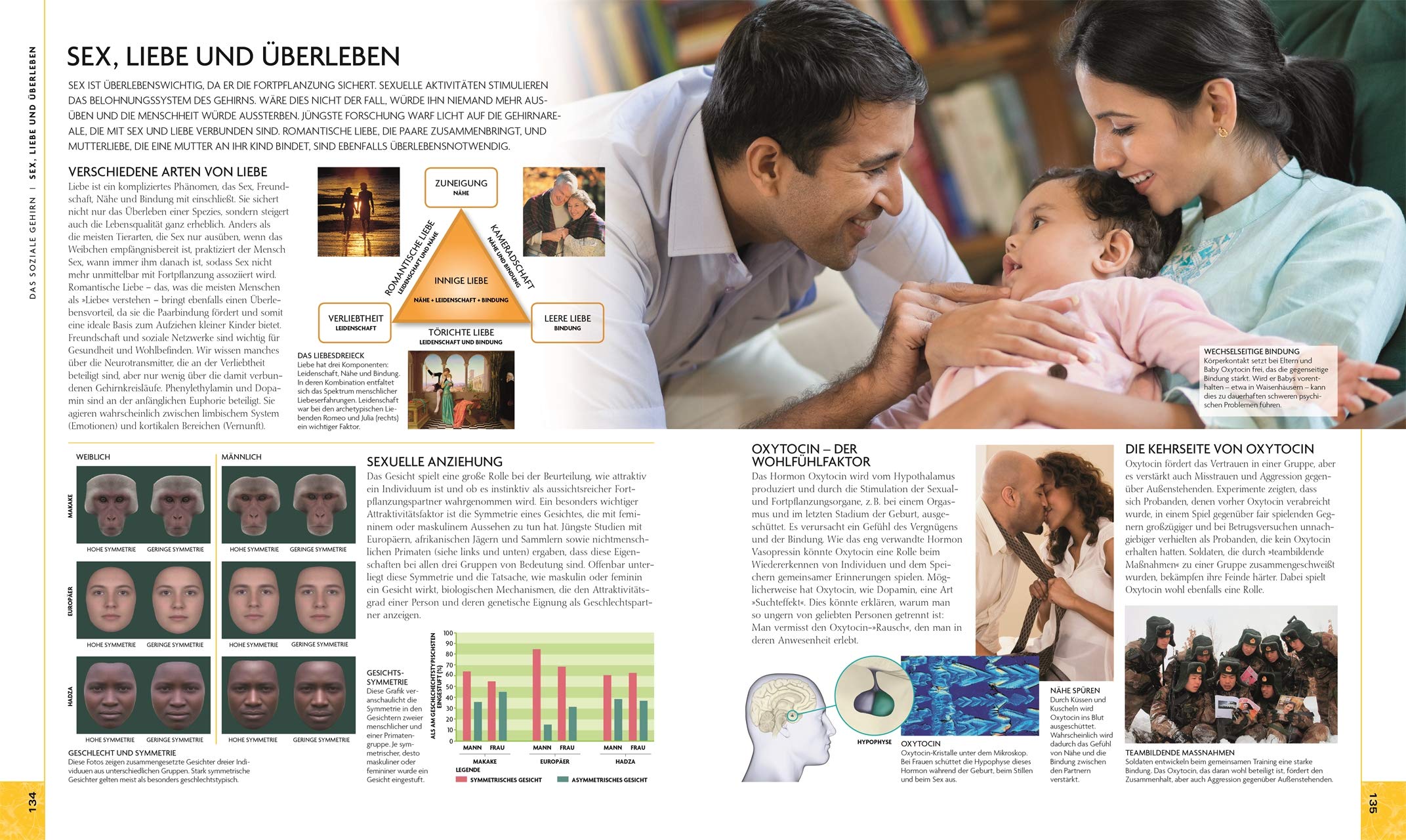 Das Gehirn: Anatomie, Sinneswahrnehmung, Gedächtnis, Bewusstsein, Störungen. Aktualisierte Neuausgabe