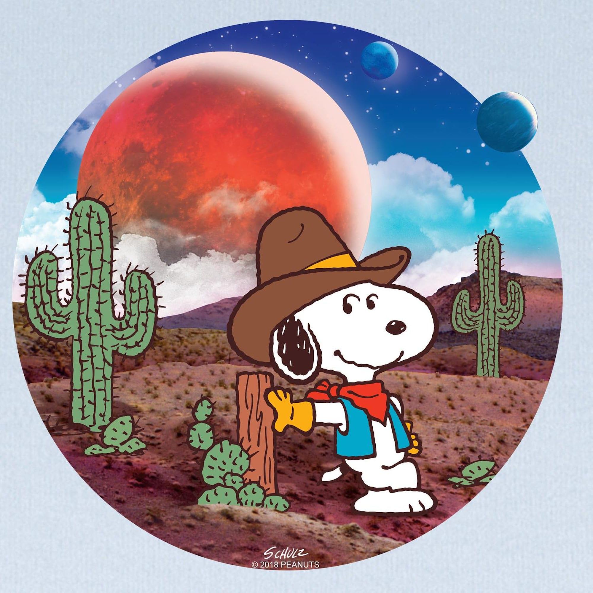 CafePress Snoopy Space Cowboy Baby Blanket, Super Soft Newborn Swaddle