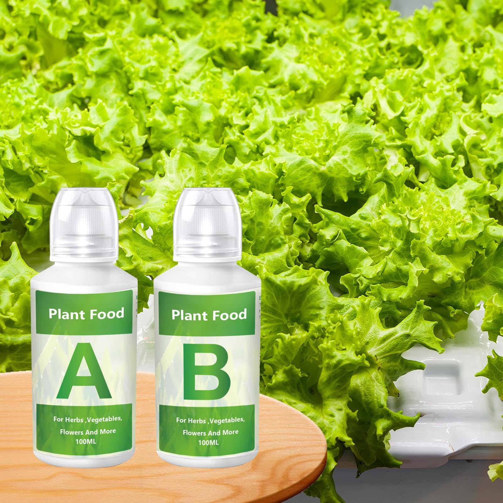 13+ Hydroponic Lettuce Nutrients 13+ Hydroponic Lettuce Nutrients