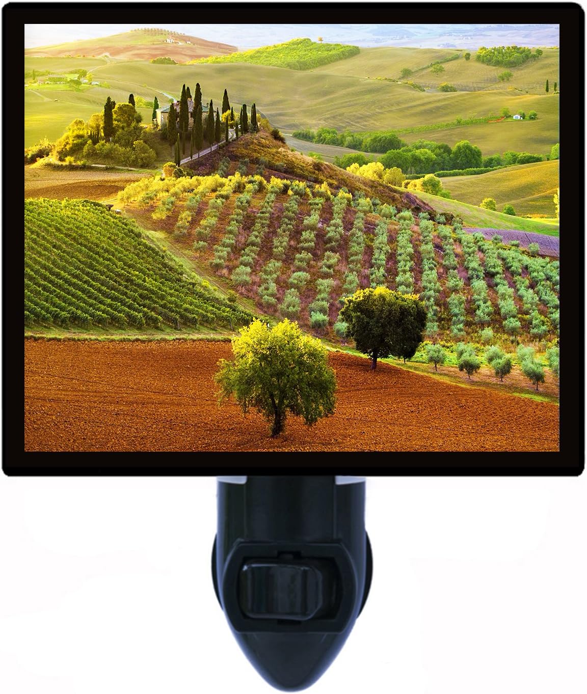 Night Light, Tuscan Landscape, Italy, Italian Villa, Winery, Wine and Bar