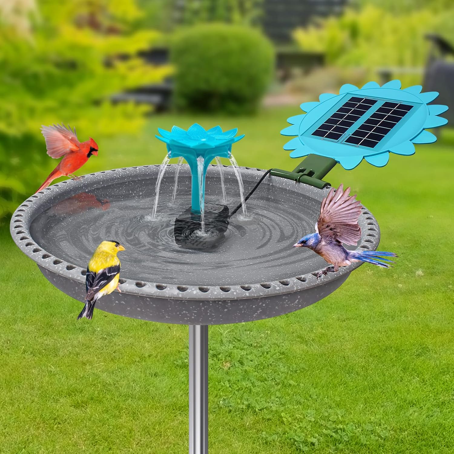 BIRD WISH Bird Bath with Solar Water Fountain, Weather Resistant Stable