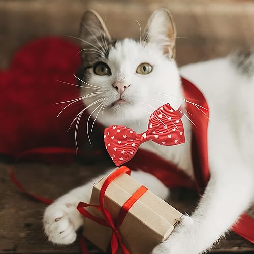 Miniatura 7 de Juego de collar de gato con pajarita de San Valentín con campana, corazón rojo festivo y collar de gato rosa para niños y niñas, gatitos