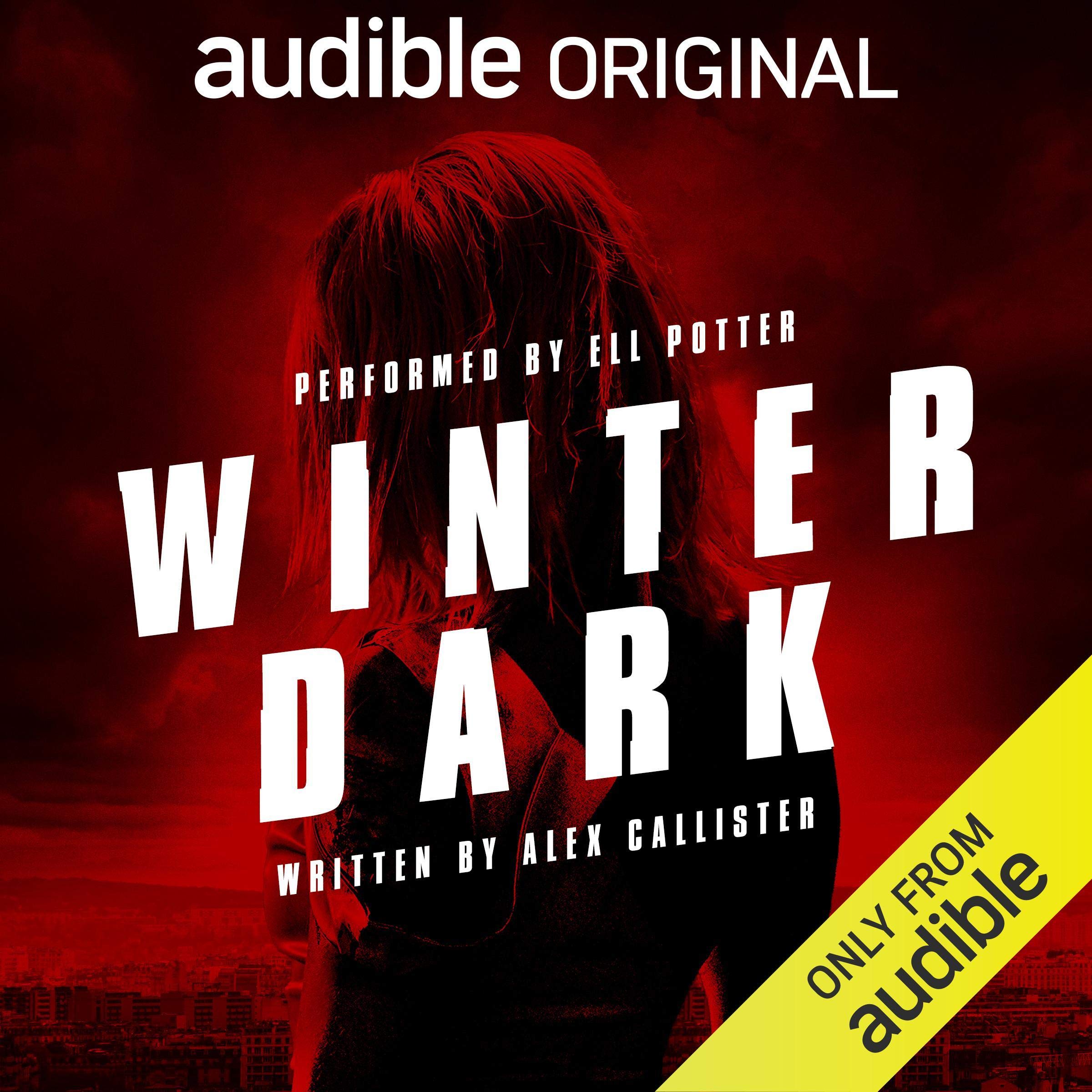 Cover art for Winter Dark