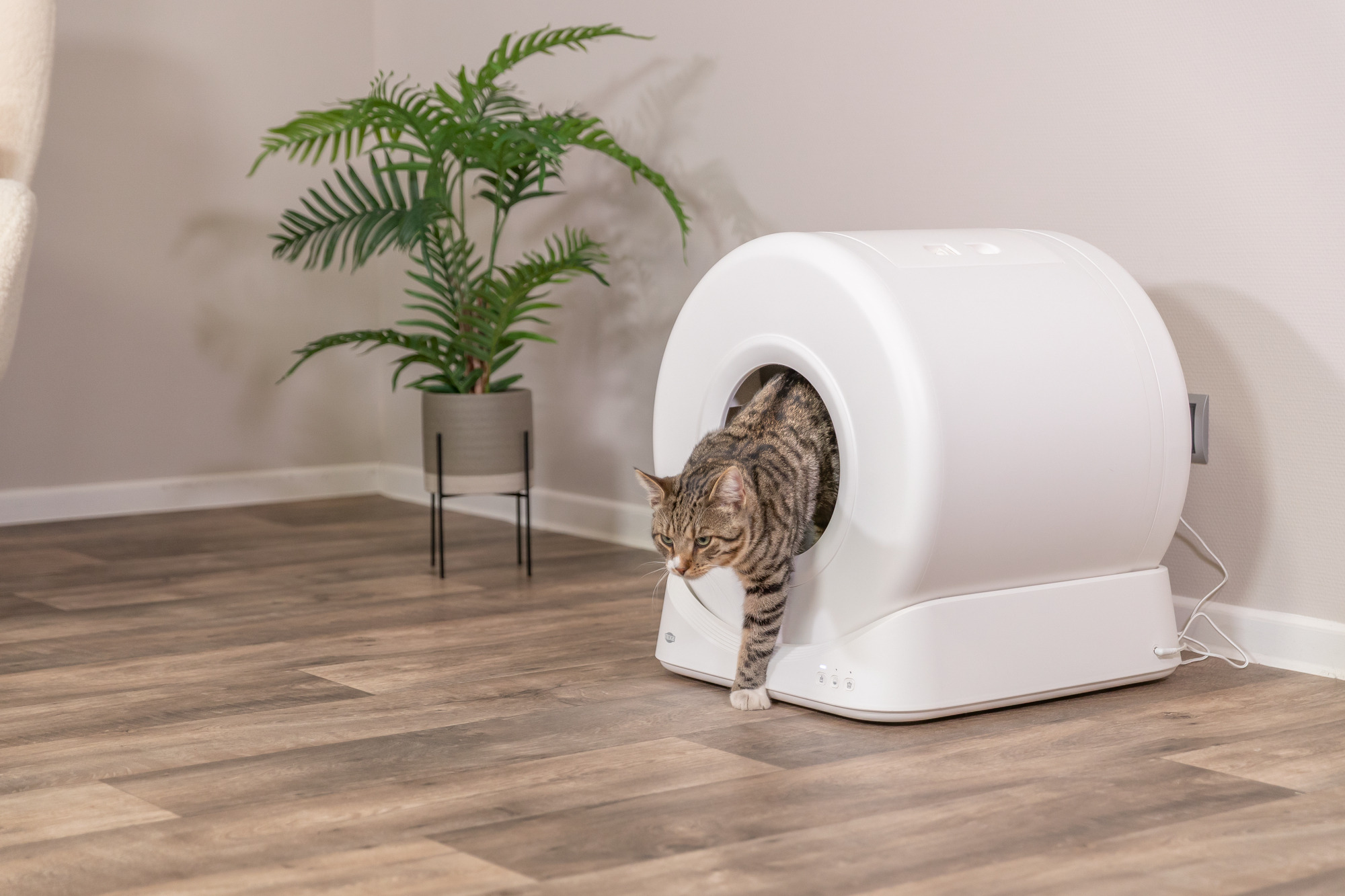 Trixie smarte Katzentoilette mit automatischer Reinigung 51  56  54 cm,  Automatisches Katzenklo, ideal fr Mehrkatzenhaushalte - 40050 : Amazon.de:  Haustier