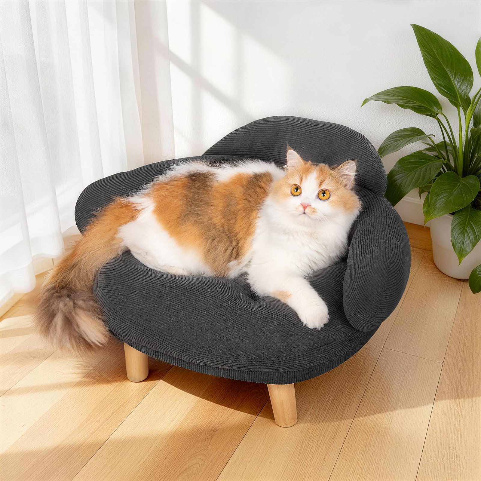 Photo 1 of **Missing base** Famifit Cat Sofa Furniture-Style Pet Bed with Removable Cotton Velvet Cover, Solid Pine Wood Legs, for Cats and Small Dogs, Gray