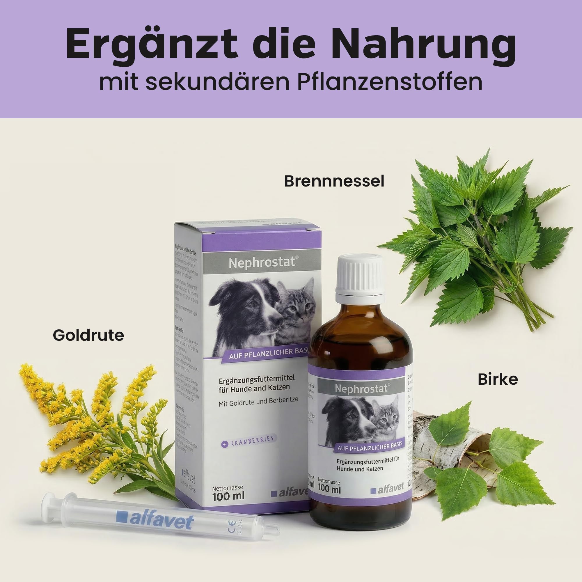 alfavet Nephrostat 100 ml – Ergänzungsfuttermittel für Hunde & Katzen – Tonikum zur Unterstützung der Harnorgane – Mit Goldrute, Birke & Orthosiphon – Inkl. Dosierspritze