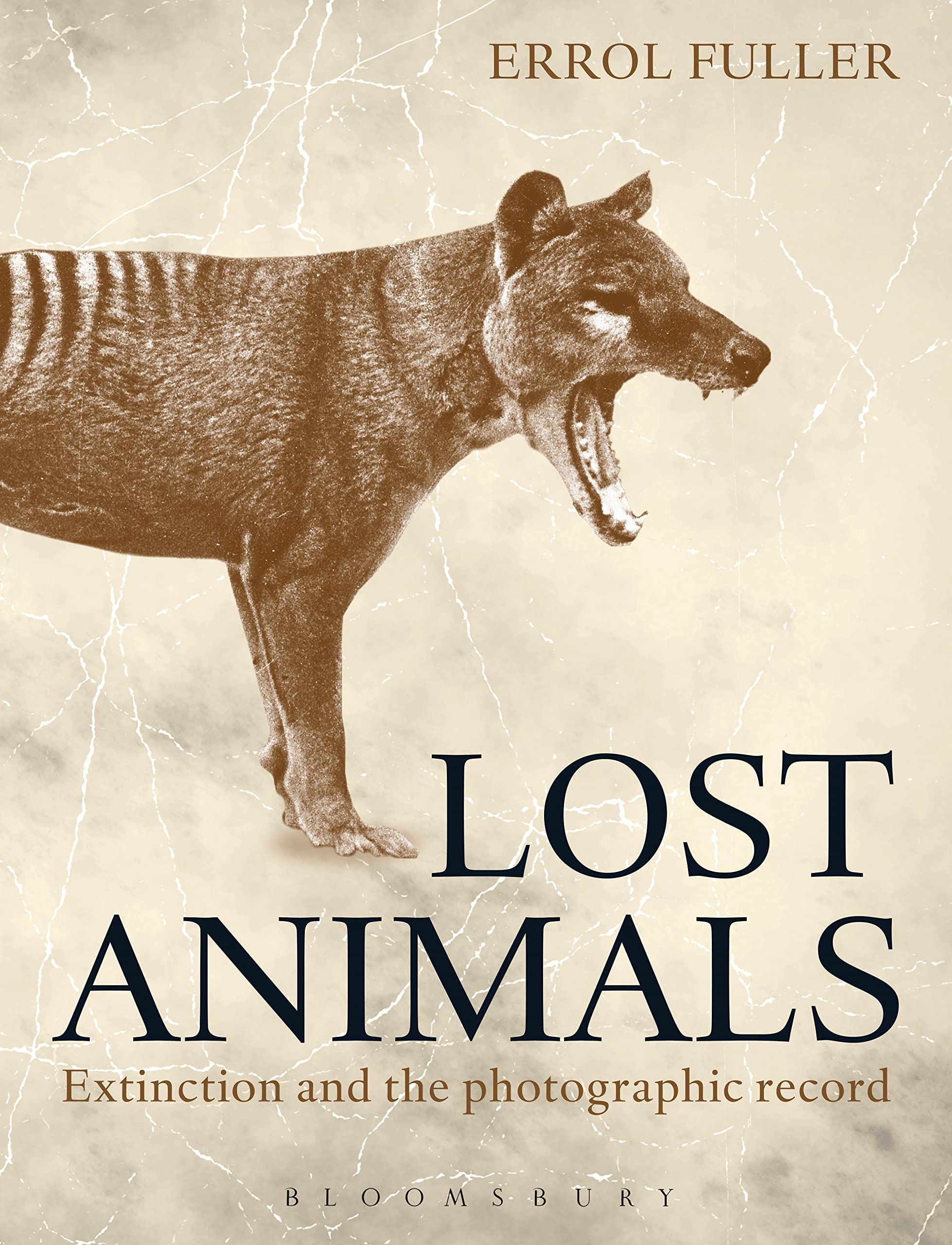 Lost Animals Extinction Photographic Record beau livre photo histoire de la zoologie faune