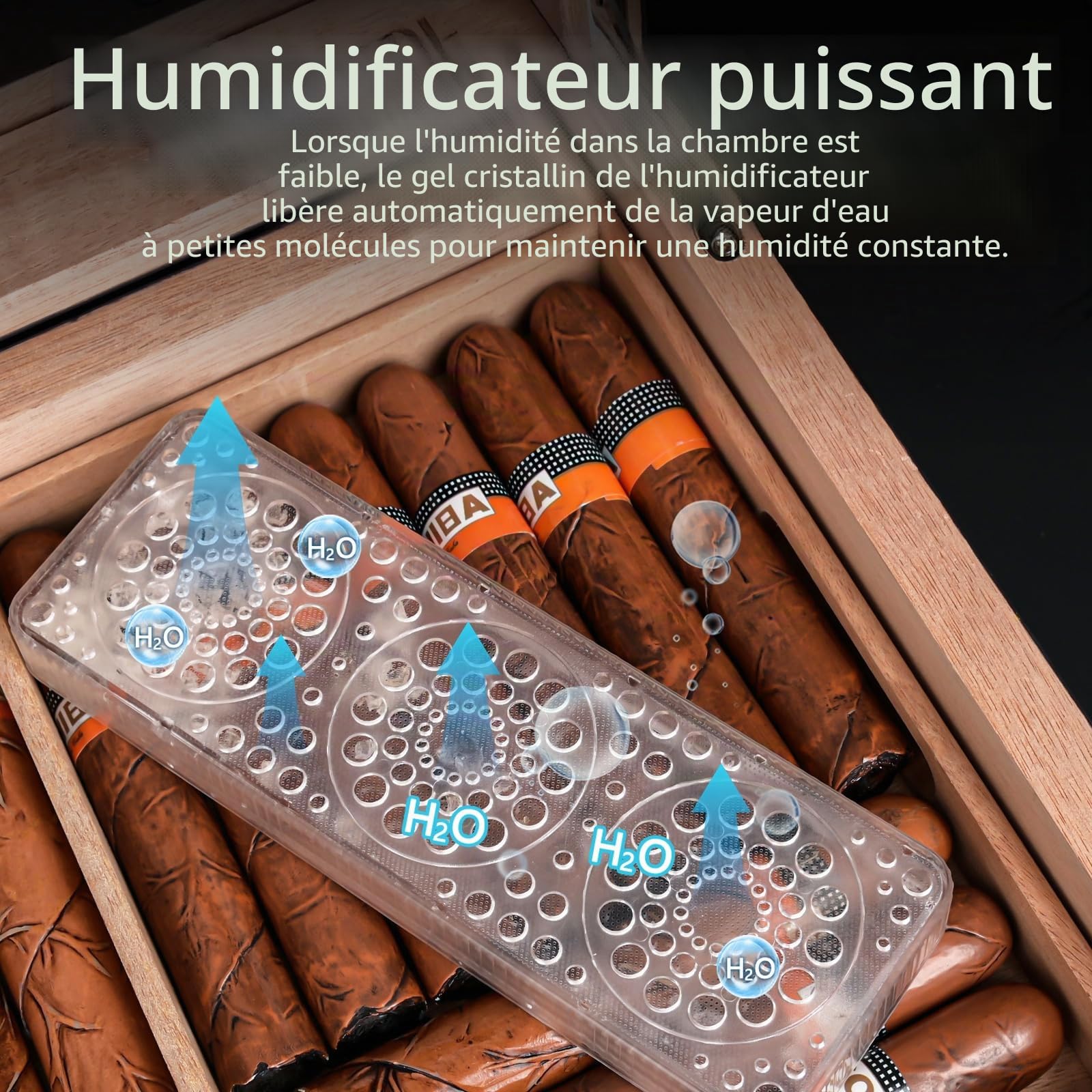 Boîte a Cigare de Luxe, Cave à Cigare en Cèdre Espagnol Capacité 70 Cigare Cubain, Humidor Cigares avec Hygromètre, Humidificateur Cigares, Plateau détachable, Superbe Cadeau pour Hommes
