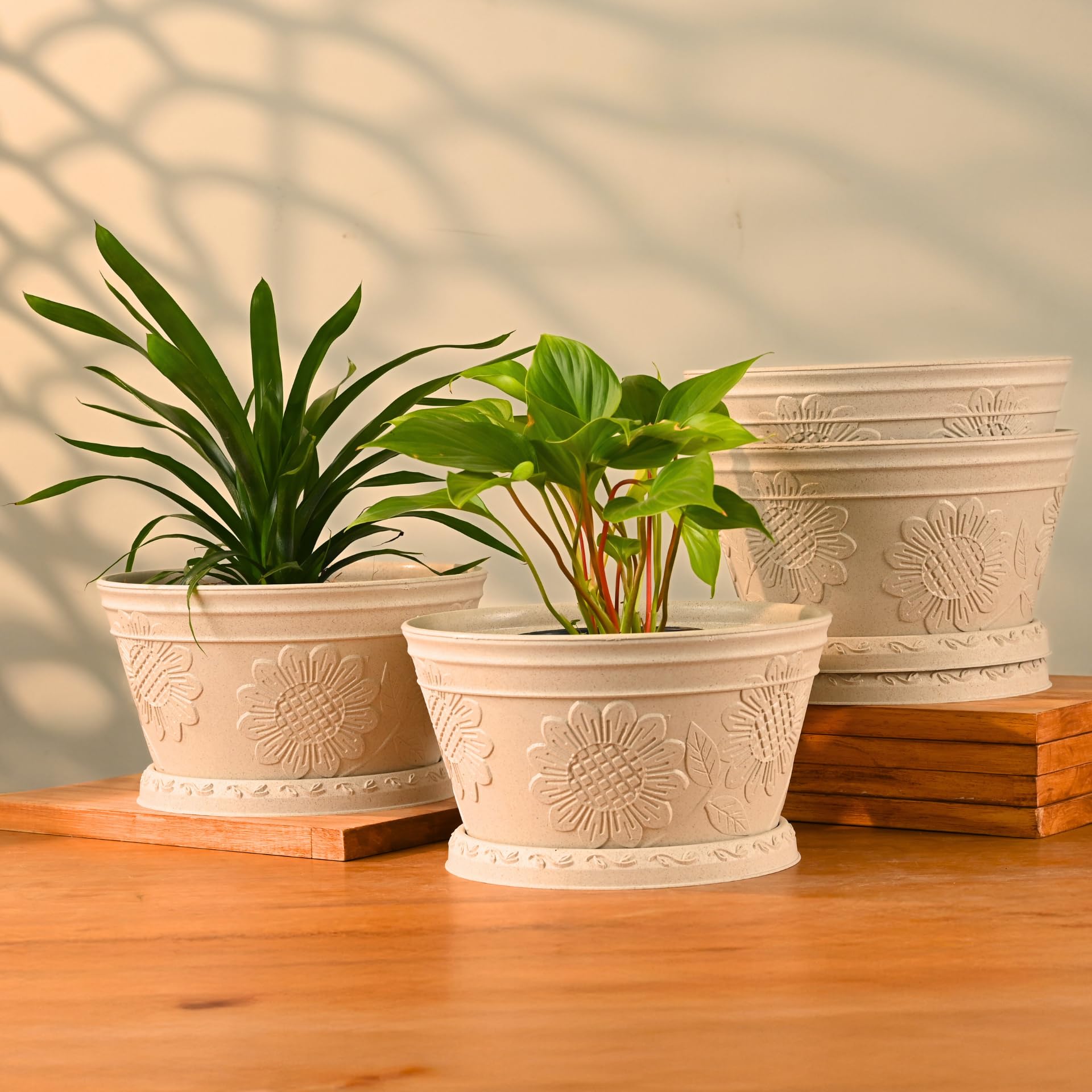 Eha Nile Planters: Sustainable Bamboo Planters -9