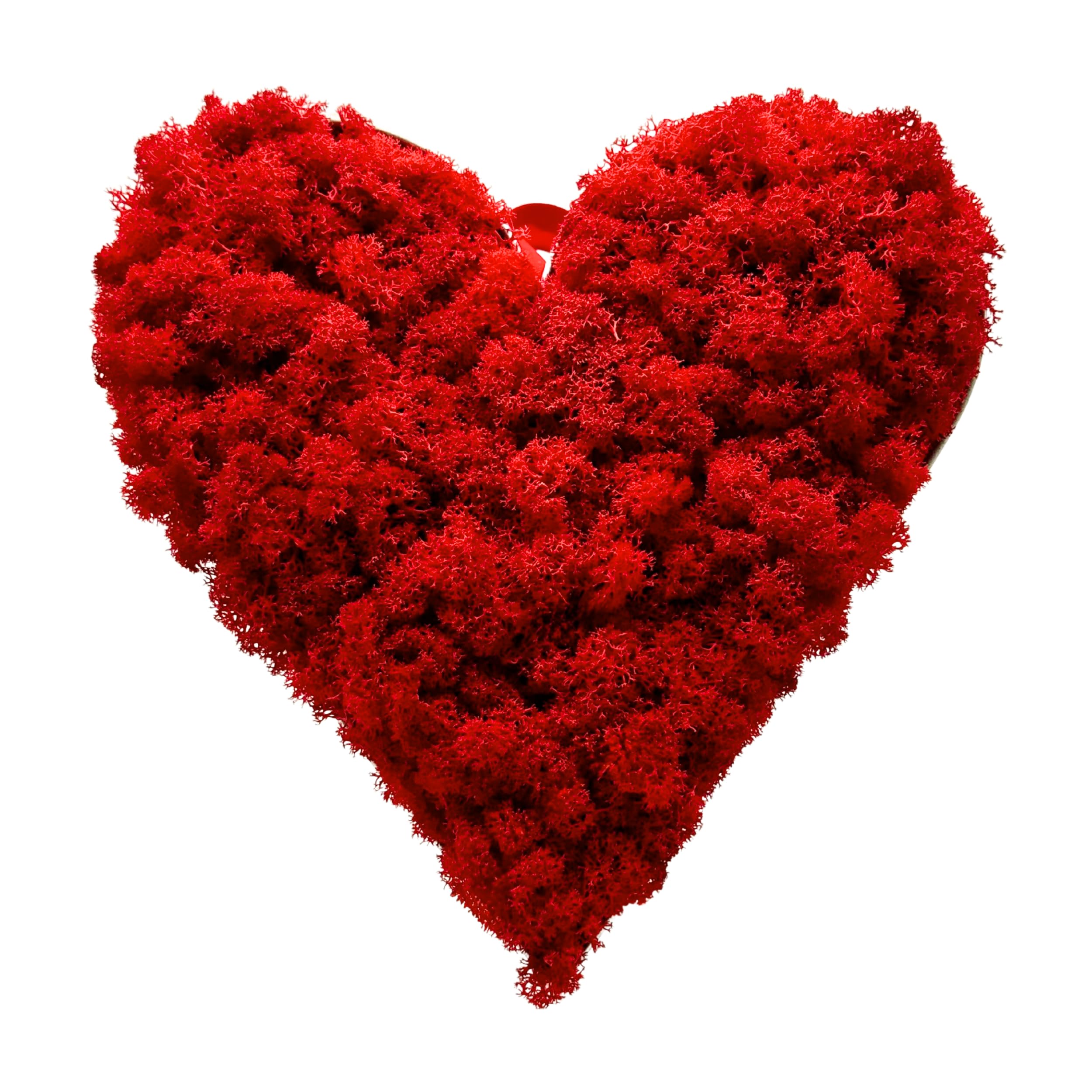DIMOSA Herz „Red Passion“ aus Stahlblech & echtem Rentiermoos. Perfekt für Valentinstag, Hochzeit, Jahrestag, Muttertag oder als liebevolles Wohnaccessoire