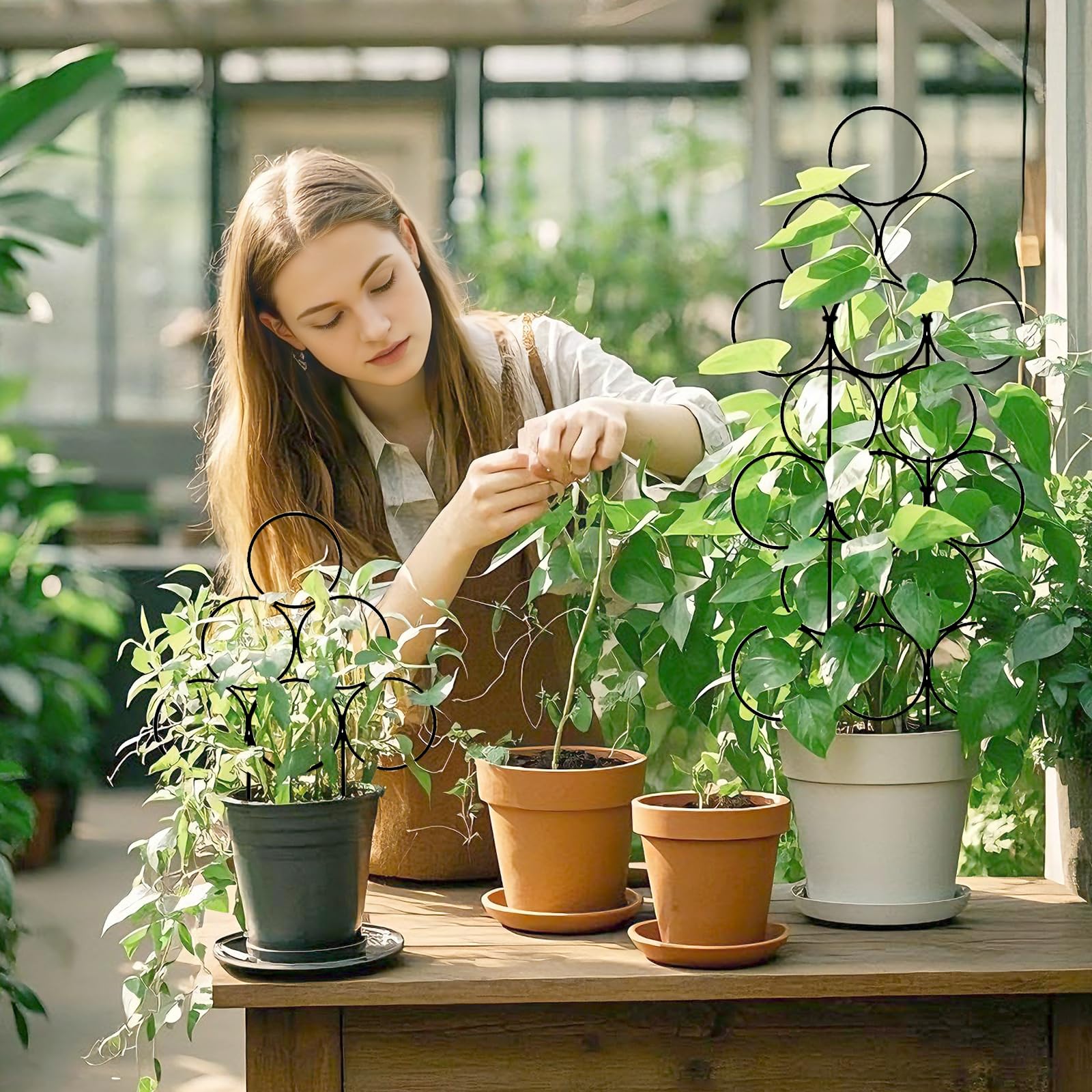 Amazon.com : IA Garden Trellis for Climbing Plants Indoor, 3 Pack Stackable  Garden Trellis for Potted Plant Support, 14.2 Inch Small Houseplant Metal  Wire Trellis for Vine Ivy Rose Plant Trellis (Black) :