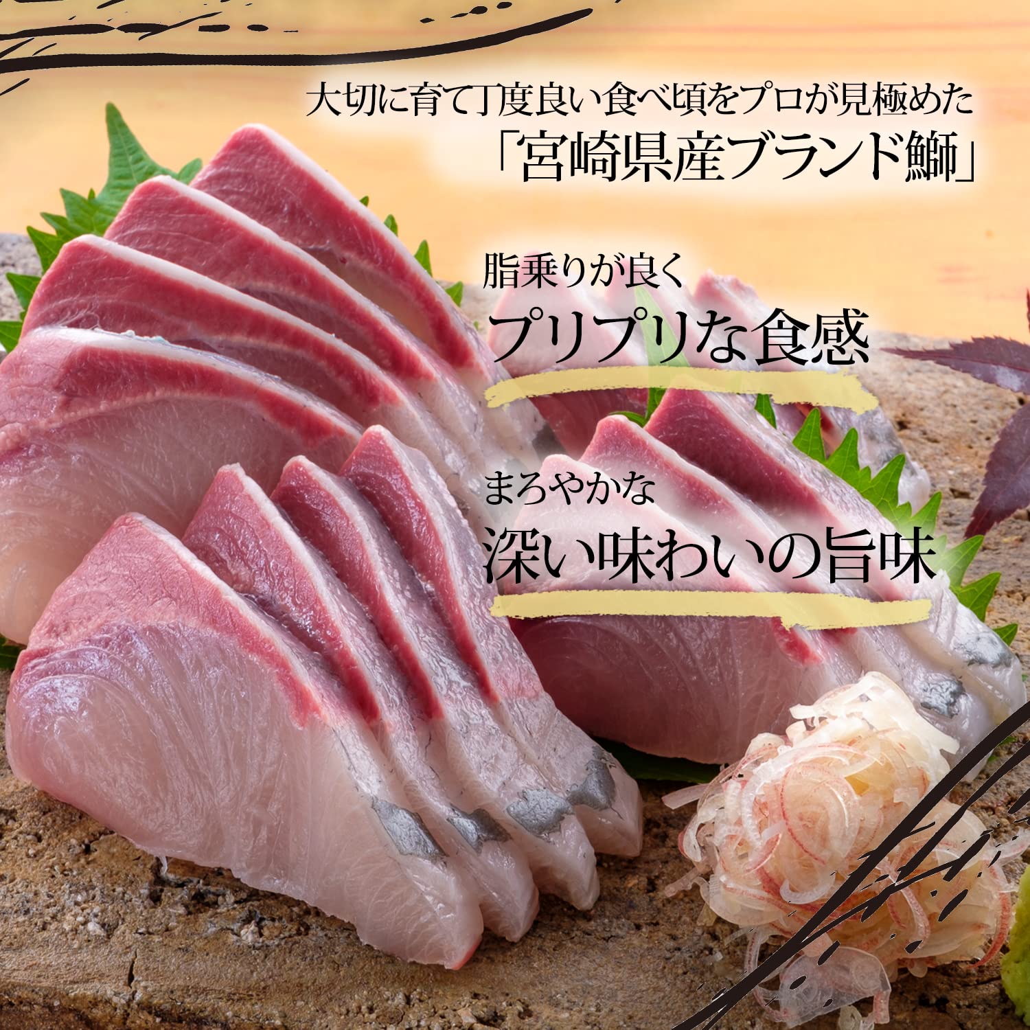 Amazon.co.jp: Buriuya Kintaro Premium Yellowtail, Amberjack, and