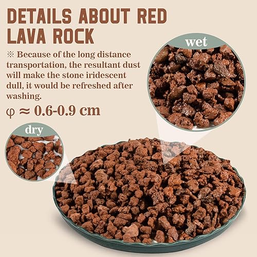 Miniatura 2 de Sukh Rocas de lava roja para plantas  Roca volcánica hortícola para cactus suculentas, rellenos de jarrón de terrario, plantas de jardinería de
