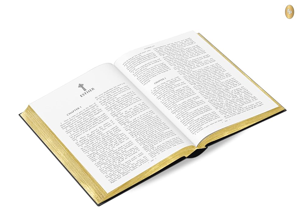 The Most Beautiful Bibles ハードカバー 洋書　e6 NIV, The Grace and Truth Study Bible (Trustworthy and