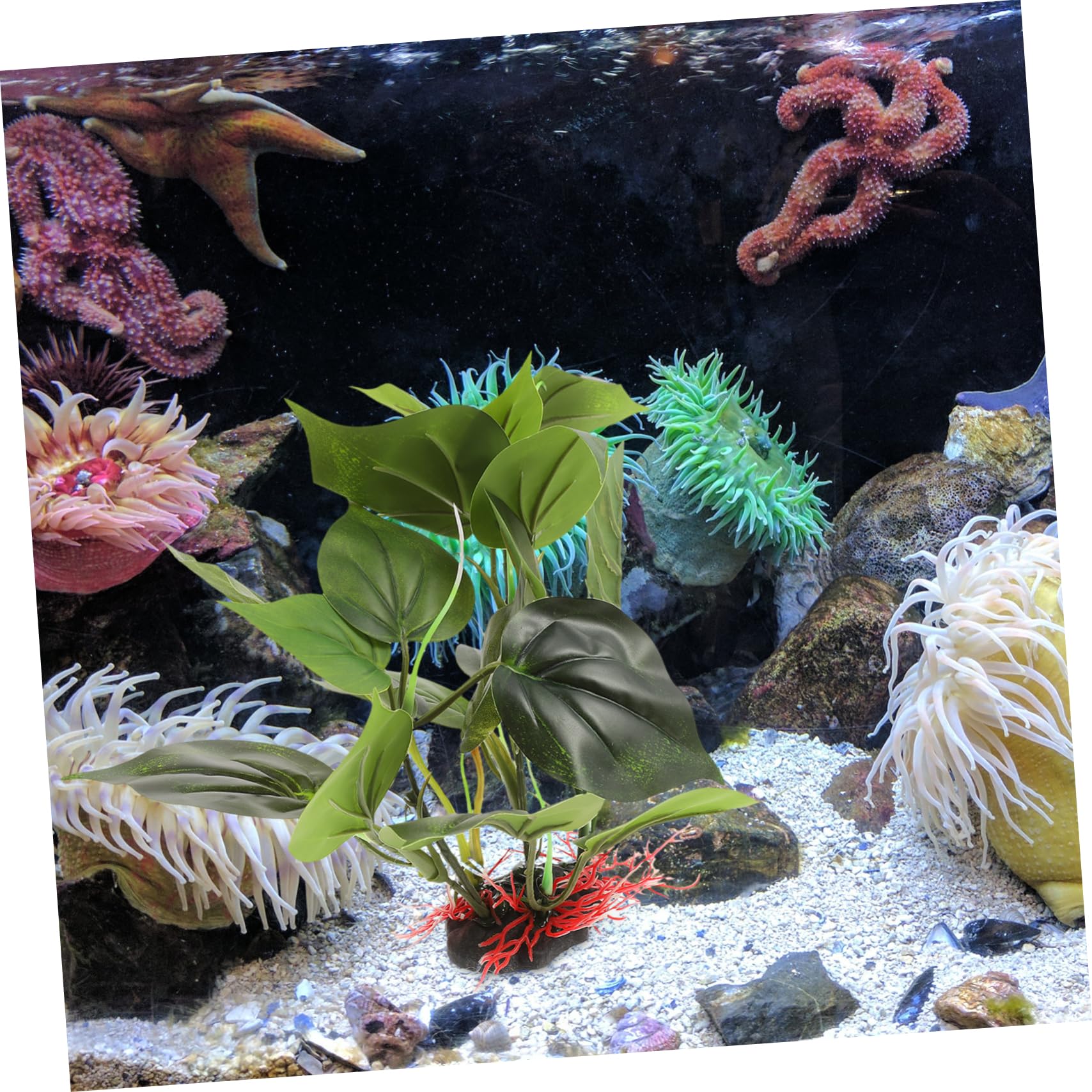 BESPORTBLE 3piezas Planta Artificial para Acuario Decoración Lifelike Accesorio De Pecera para Ocultar y Jugar Acuarios y Terrarios Material Seguro y Fácil De Mantener