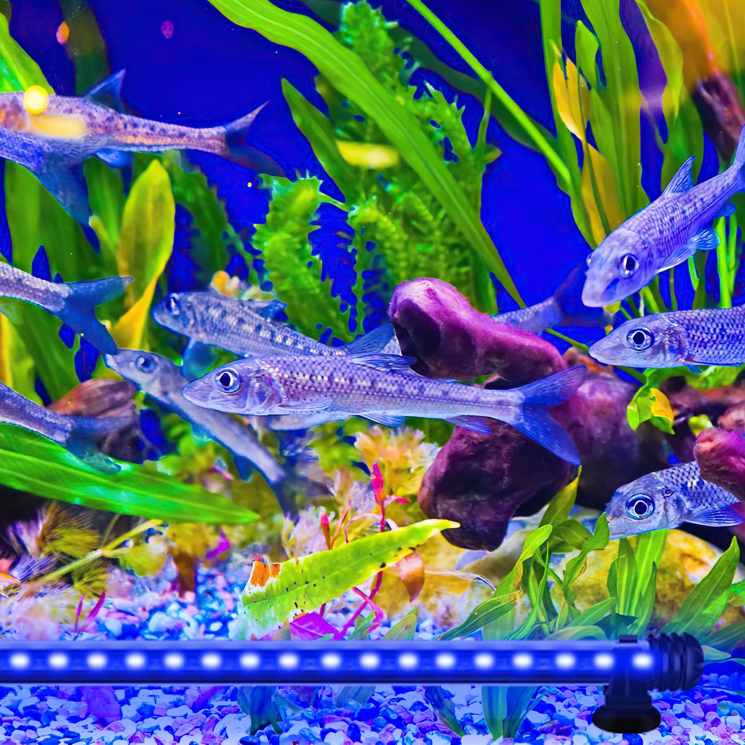 Oświetlenie LED do akwarium, 13,2 W, RGB, IP67, timer, słodkowodne