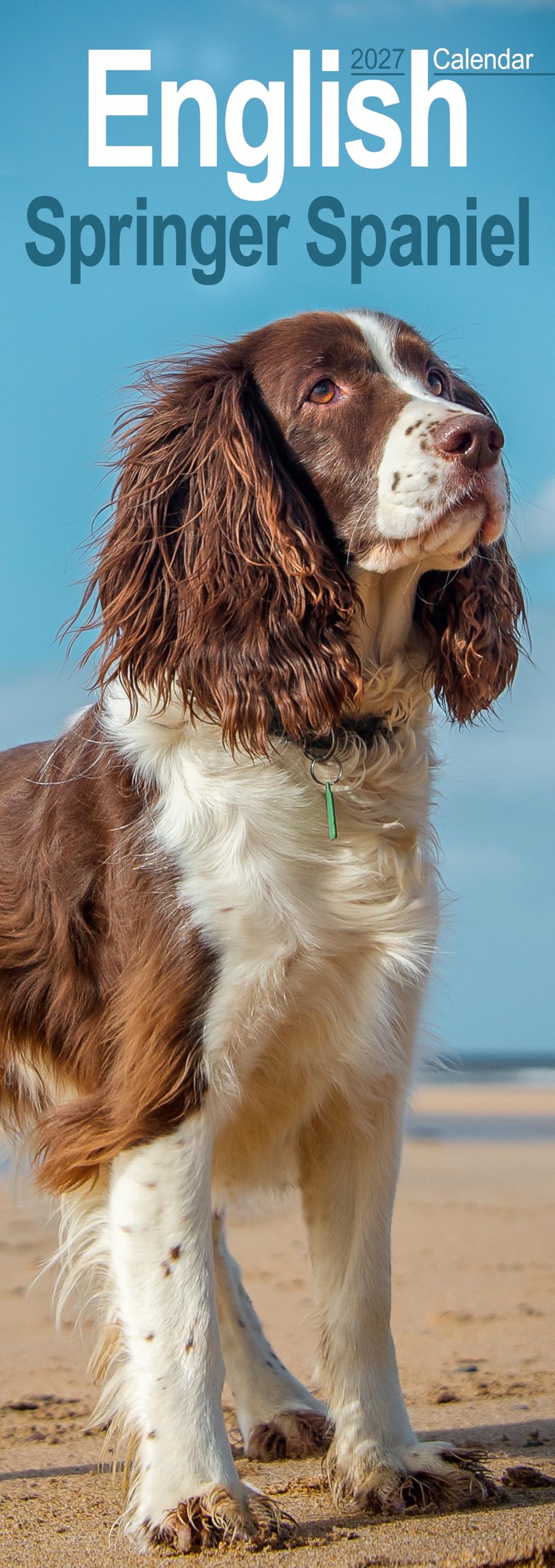 English Springer Spaniel Slim 2027 Calendar | Slimline Wall Calendar | Dog Breed Gift | Plastic Free Packaging | by Avonside Publishing