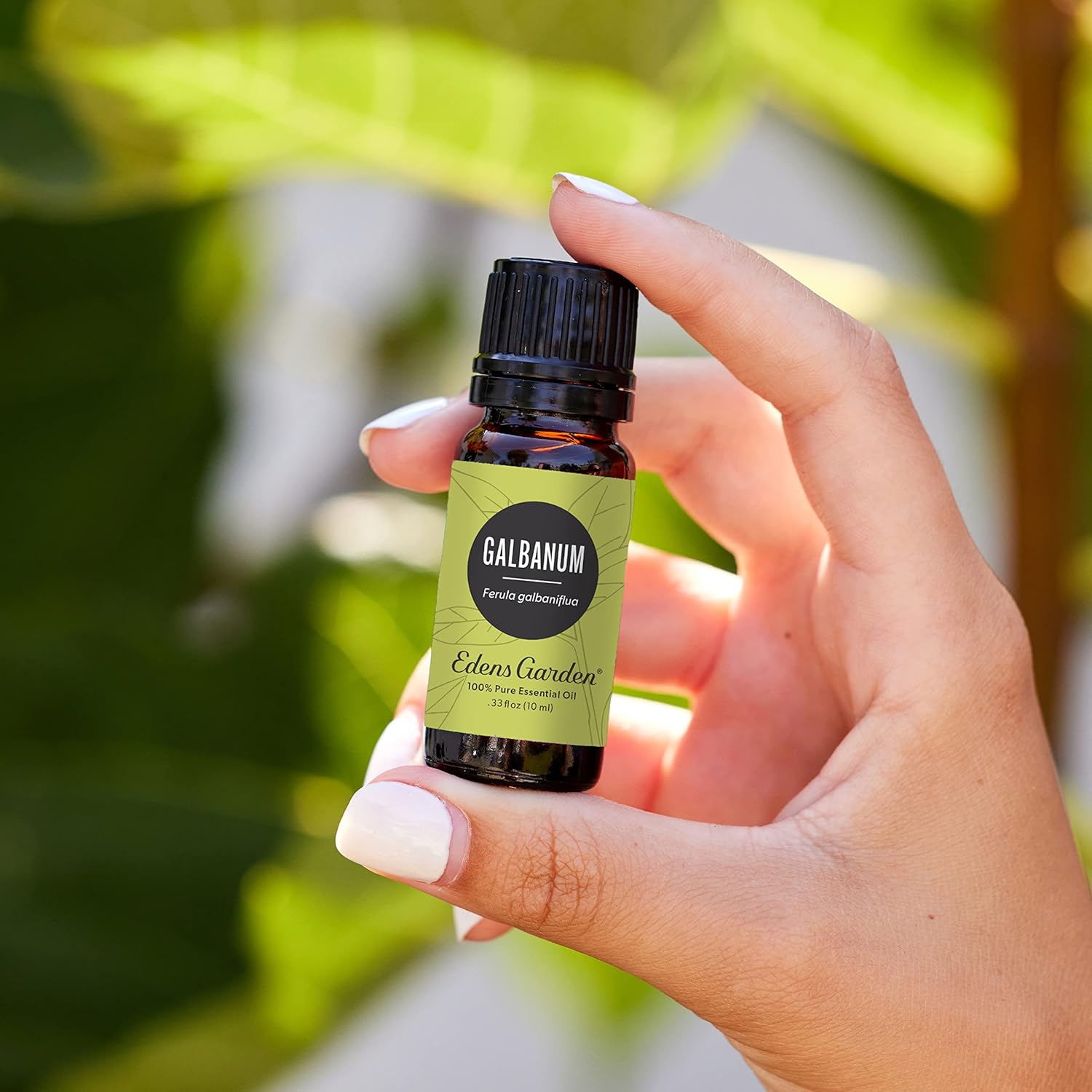 Edens Garden Galbanum Essential Oil- 100% Pure Premium Grade, Undiluted, Natural, Therapeutic, Aromatherapy, The Best for Diffuser, Skin, Candle, Laundry 30 ml (1 fl oz) - Image 2