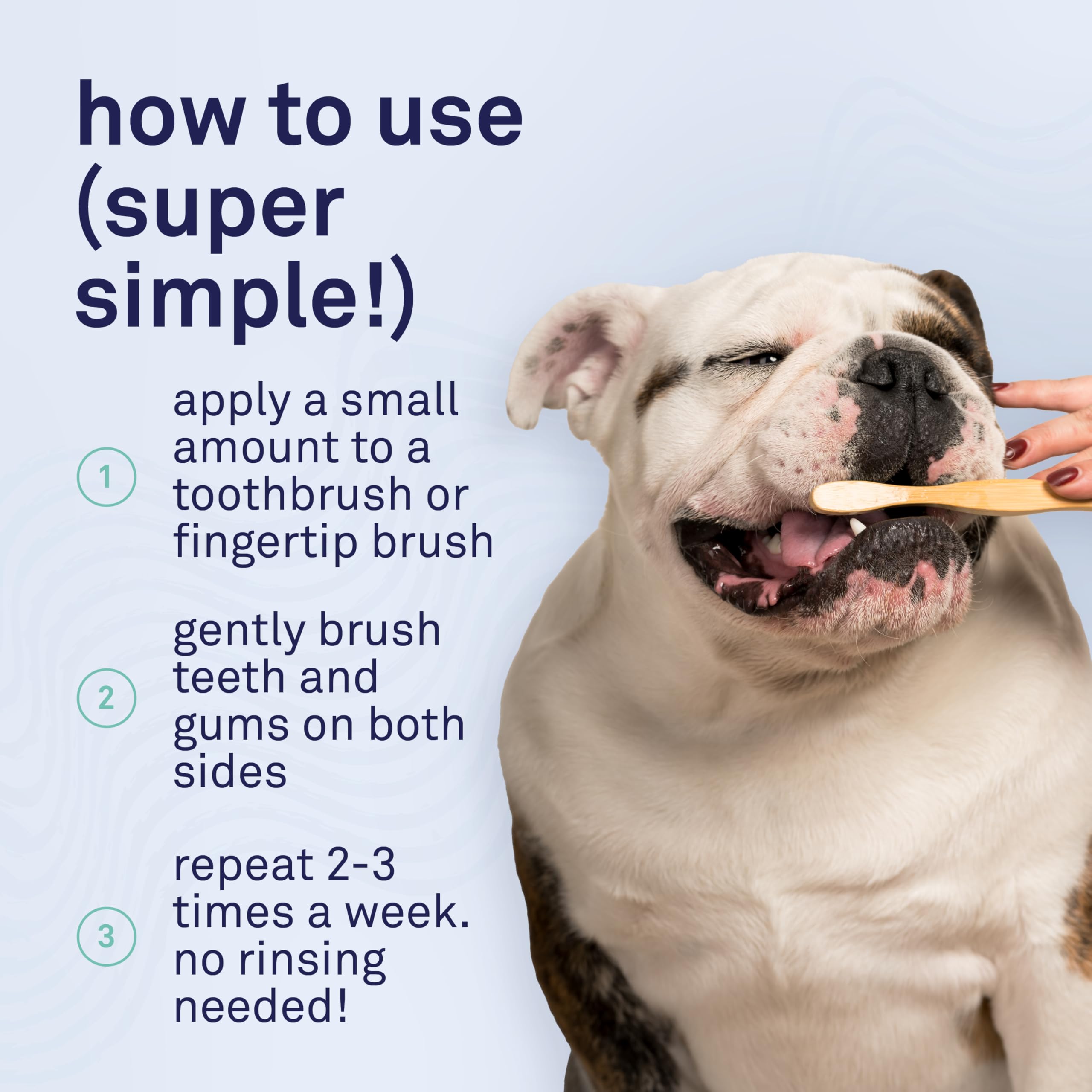 Petpost | Toothpaste for Dogs - Coconut Oil and Baking Soda Based Dental Gel That Naturally Eliminates Bad Breath - Dirt, Gunk, and Tooth Buildup Gone - Mint Flavor 4 oz. - image 7