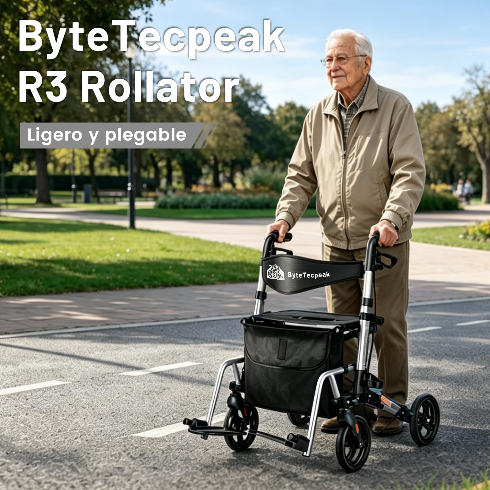 R3 - Andador y silla de ruedas 2 en 1 con reposapiés y bastón plegable, altura regulable, función de silla de ruedas, soporta hasta 100 kg (Plata)