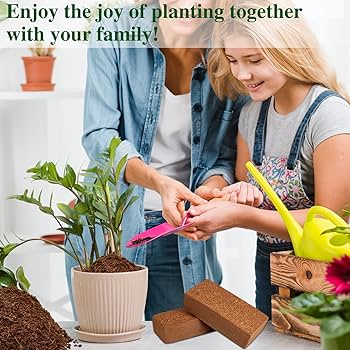 Amazon.com : ZeeDix 10 Pack Premium Coco Coir Brick, Organic