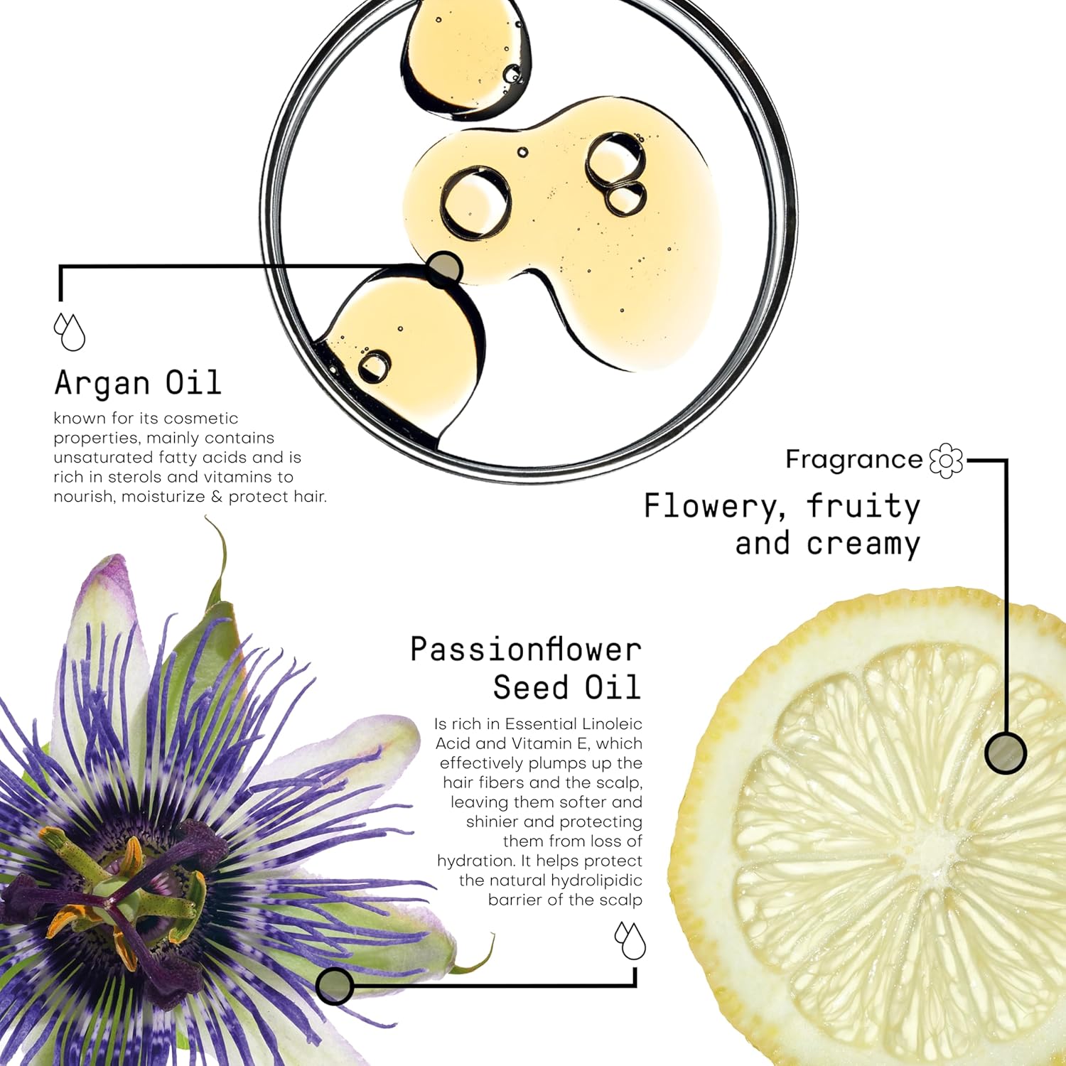 FRAMESI Morphosis Sublimis Pure Hair Oil - Image 9