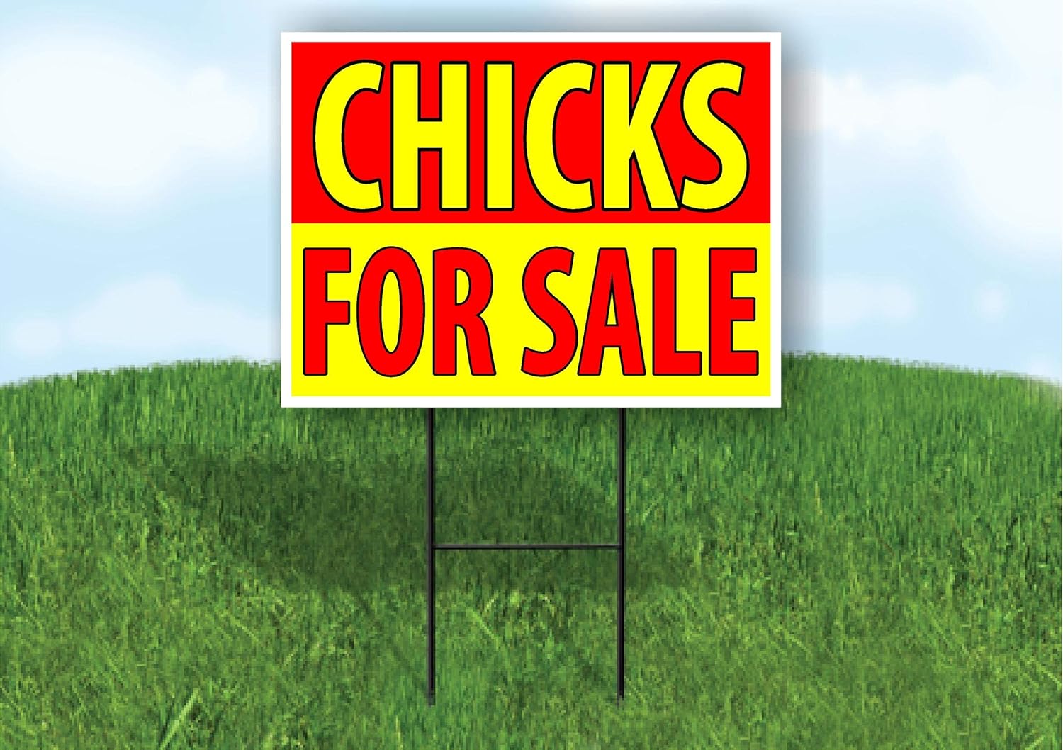 CHICKS FOR SALE RED YELLOW - Double Sided Yard Sign ROAD SIGN with Stand