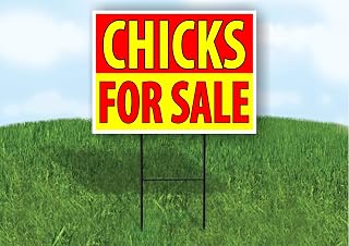 CHICKS FOR SALE RED YELLOW - Single Sided Yard Sign ROAD SIGN with Stand