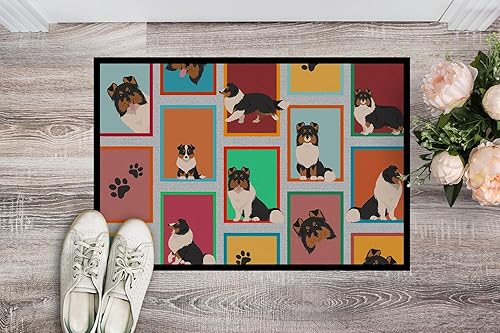 Vista 269 de Caroline's Treasures MLM1087MAT - Felpudo de perro de montaña bernés de 18 x 27 pulgadas, para interiores y exteriores, para entrada, Bernese