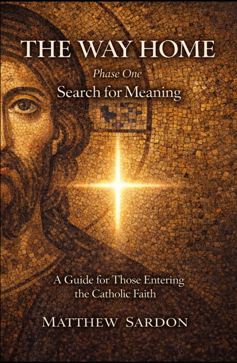 The Way Home: Search For Meaning: A Guide For Those Entering The Catholic Faith