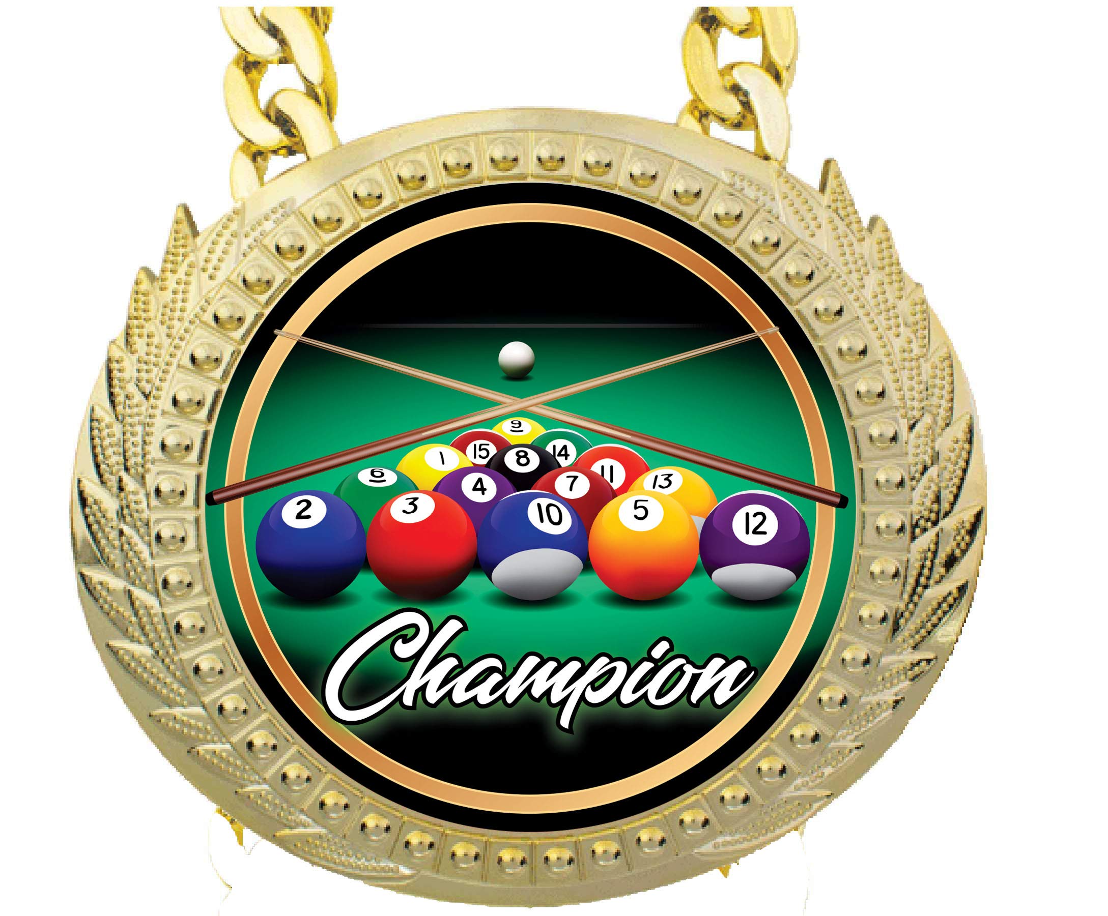 Express Medals Billiards Pool Champ Chain Trophy Award with a Center Plaque Plate Measuring 6 by 5.25 Inches and Includes a 34 Inch Chain with Black Velvet Presentation Bag.